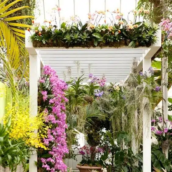 30 idées inspirantes pour créer une pergola colorée et parfumée - 237