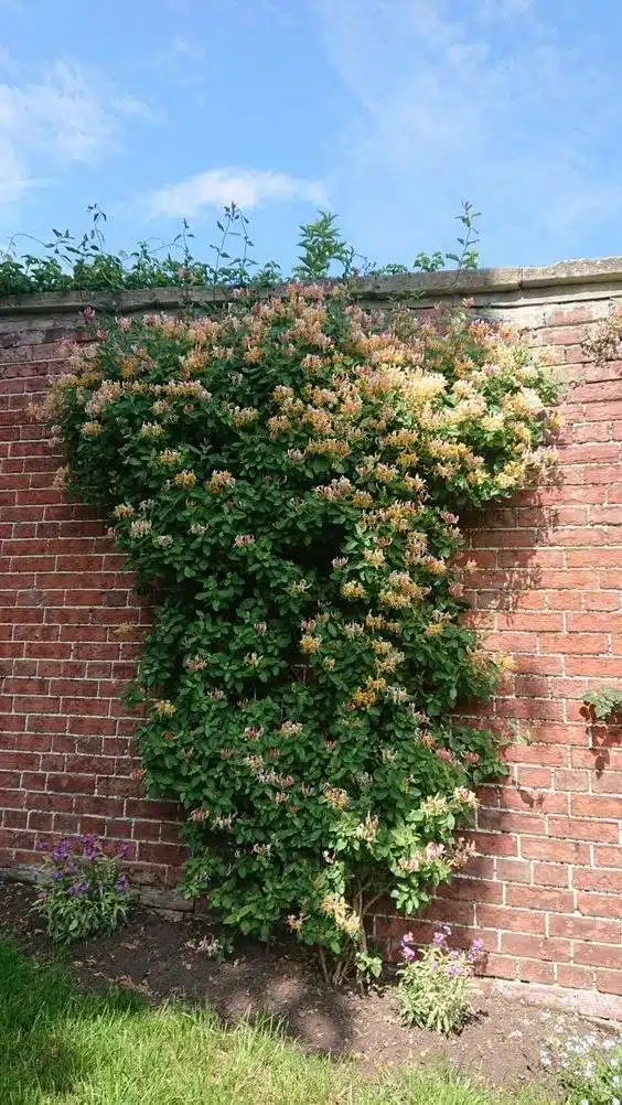 33 idées de murs de soutènement pour ajouter du charme et du caractère à votre jardin - 217