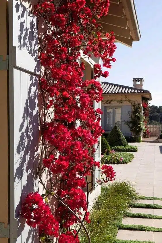 33 idées de murs de soutènement pour ajouter du charme et du caractère à votre jardin - 223