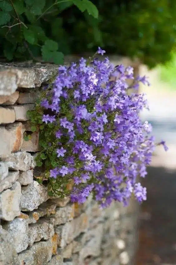 33 idées de murs de soutènement pour ajouter du charme et du caractère à votre jardin - 239