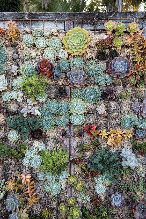 33 idées de murs de soutènement pour ajouter du charme et du caractère à votre jardin - 245