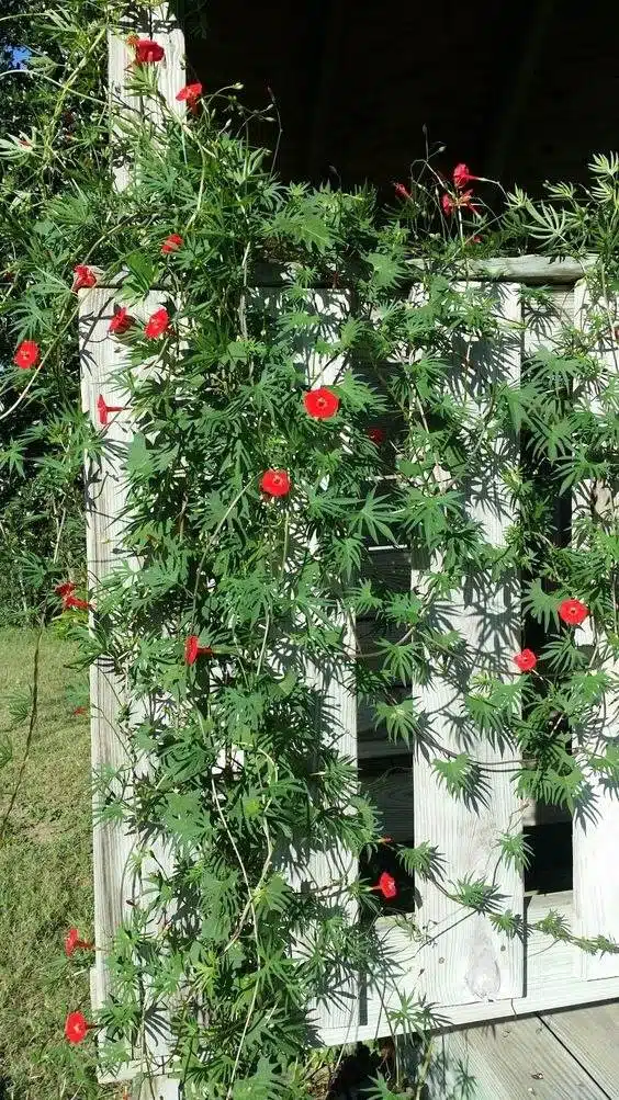 33 idées de murs de soutènement pour ajouter du charme et du caractère à votre jardin - 265