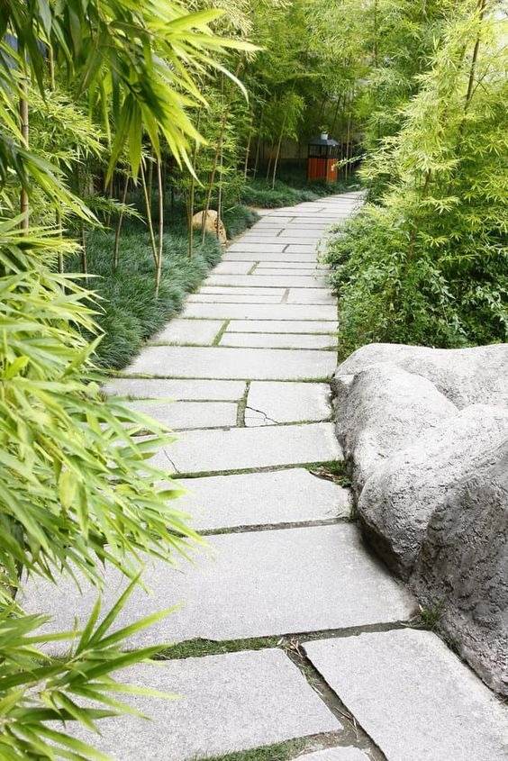 35 allées de jardin enchanteresses qui ouvrent la voie à la beauté extérieure - 237