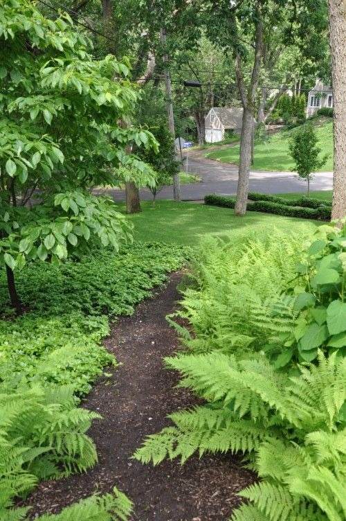 35 allées de jardin enchanteresses qui ouvrent la voie à la beauté extérieure - 255