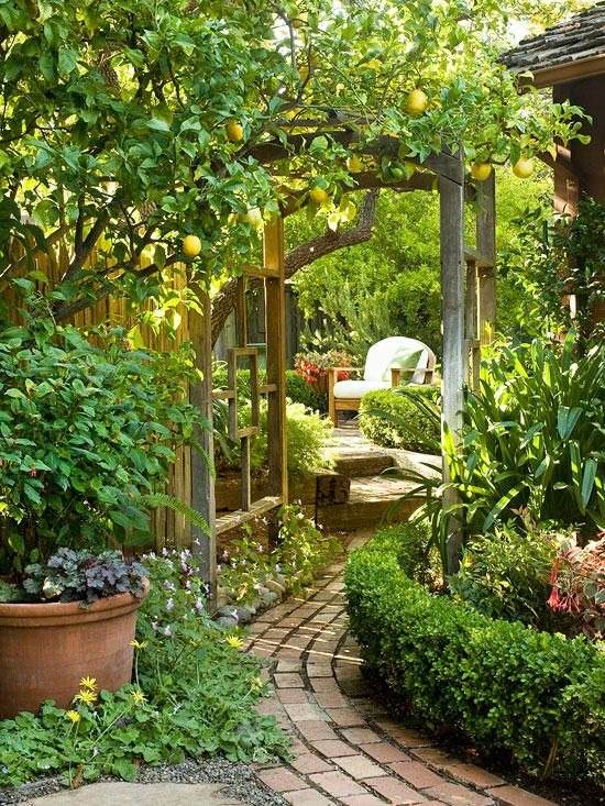 35 allées de jardin enchanteresses qui ouvrent la voie à la beauté extérieure - 271