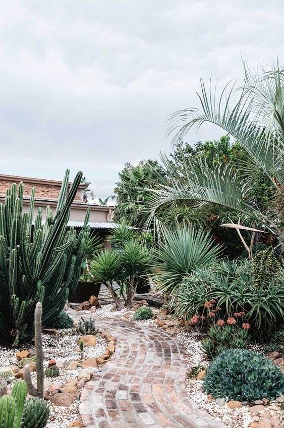 35 allées de jardin enchanteresses qui ouvrent la voie à la beauté extérieure - 283