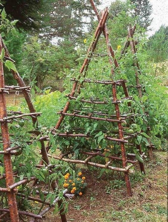 35 idées de treillis pour économiser de l'espace et ajouter du charme à votre jardin - 267