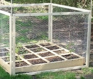 Jardinière à 30 $ avec grillage en bois pour poules