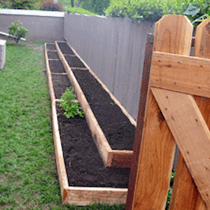 Le long du lit de jardin surélevé le long de la clôture