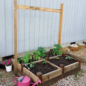 Jardin surélevé bricolage avec treillis