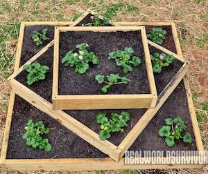 Boîte de jardin surélevée à trois niveaux