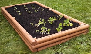 Aménagement paysager d'un lit de jardin en bois