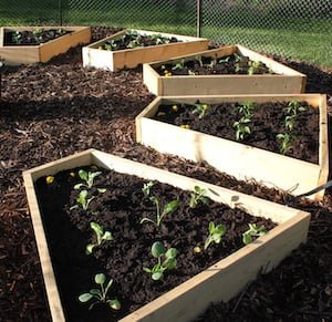 Idée de lit de jardin à roue médicinale surélevée