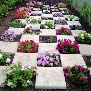 Jardin de fleurs et de pavés à carreaux