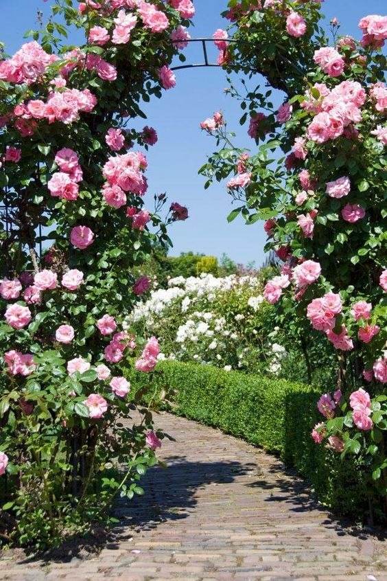 35 allées de jardin enchanteresses qui ouvrent la voie à la beauté extérieure - 267