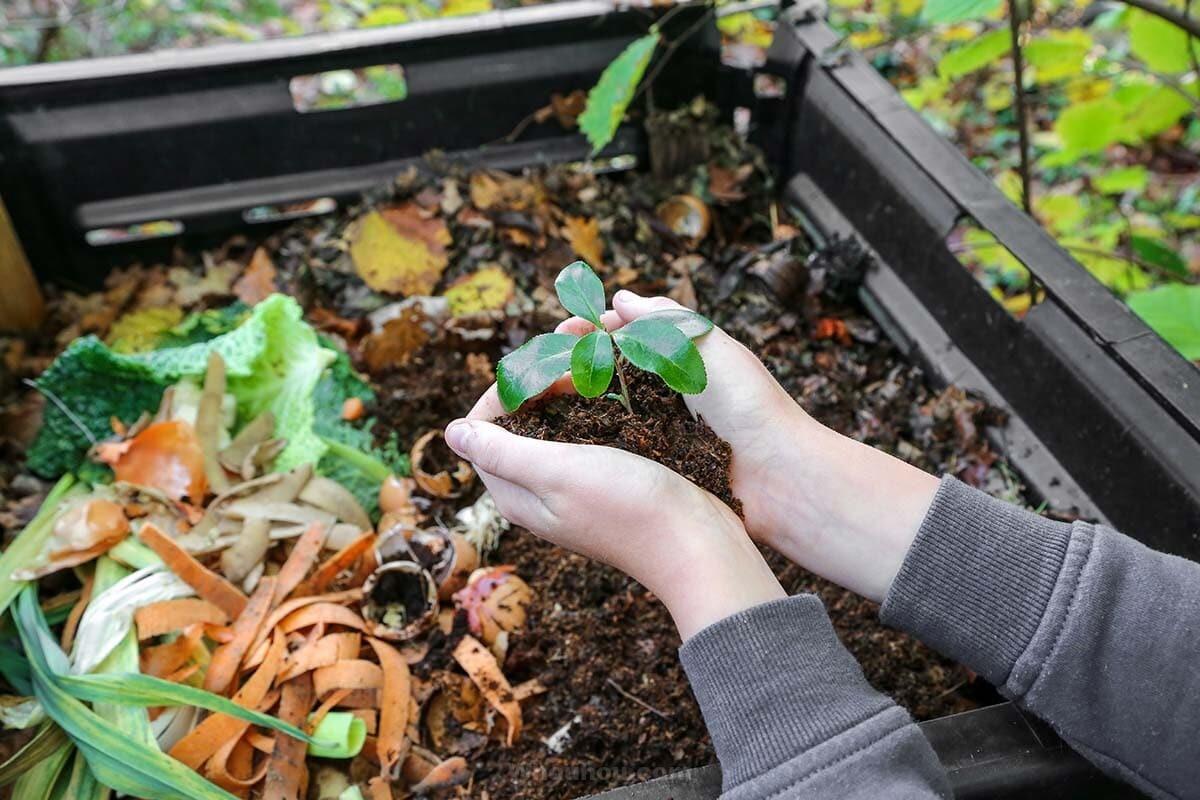 Les secrets d’un compostage efficace : maximisez votre jardinage écologique